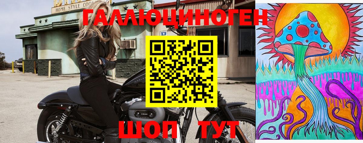 Скопин  Псилоцибиновые грибы Psilocybe  Вход с VPN 