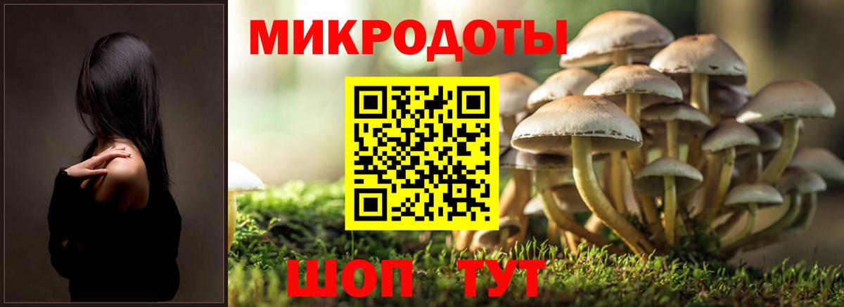 Галлюциногенные грибы прущие грибы Скопин